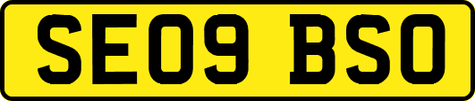 SE09BSO