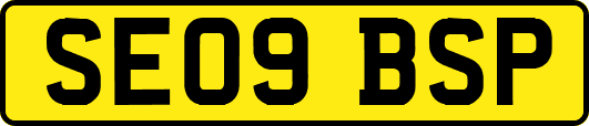SE09BSP