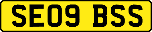 SE09BSS