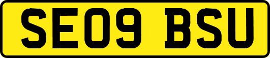 SE09BSU