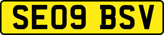 SE09BSV
