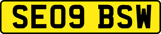 SE09BSW