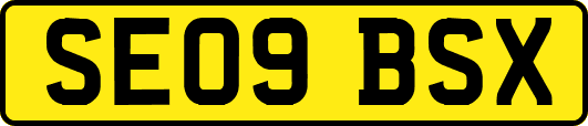 SE09BSX