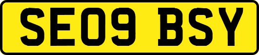 SE09BSY