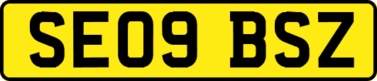 SE09BSZ