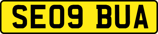 SE09BUA