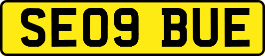 SE09BUE
