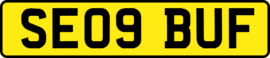 SE09BUF