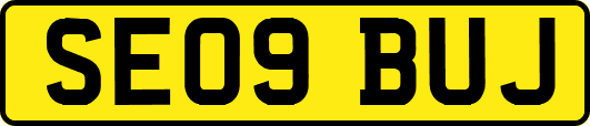 SE09BUJ