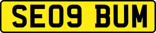 SE09BUM