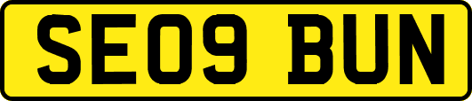 SE09BUN
