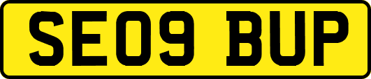 SE09BUP