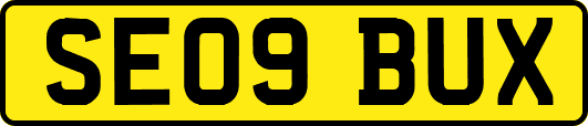 SE09BUX