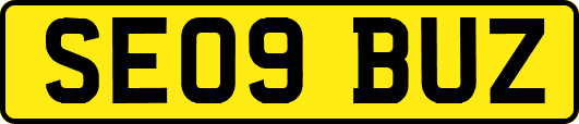 SE09BUZ