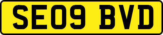 SE09BVD