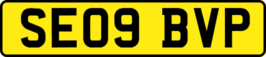 SE09BVP