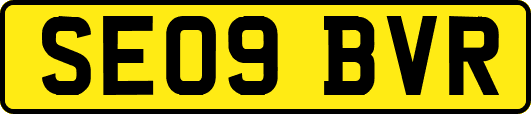 SE09BVR