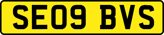 SE09BVS