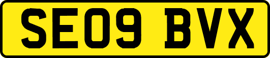 SE09BVX