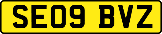 SE09BVZ