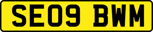 SE09BWM