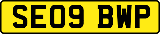 SE09BWP