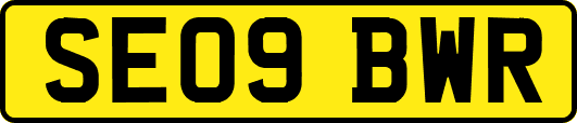 SE09BWR