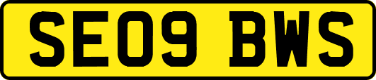 SE09BWS