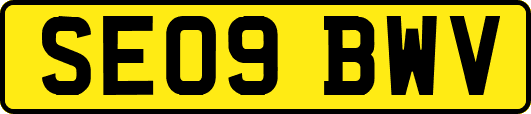 SE09BWV
