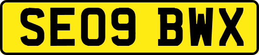 SE09BWX