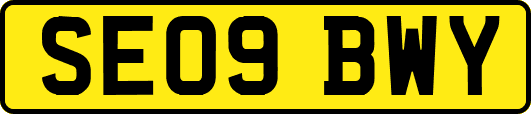 SE09BWY
