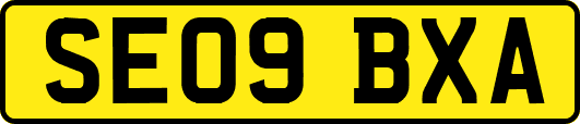 SE09BXA