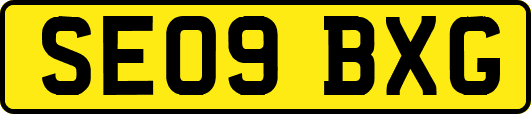 SE09BXG
