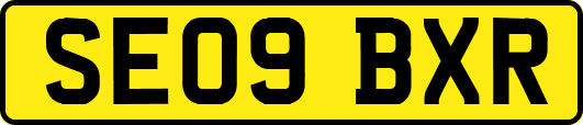 SE09BXR