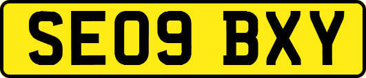 SE09BXY