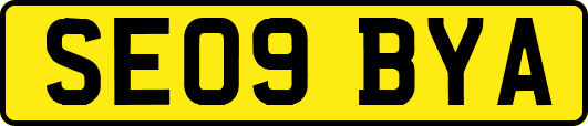 SE09BYA