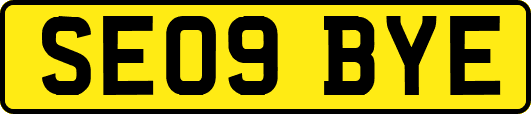 SE09BYE