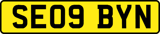 SE09BYN