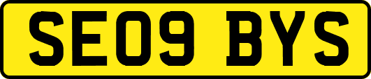 SE09BYS