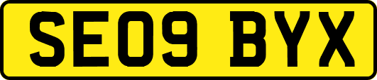 SE09BYX