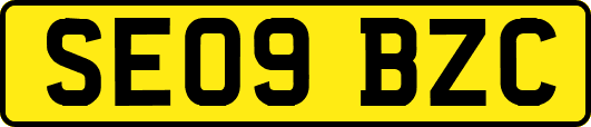 SE09BZC