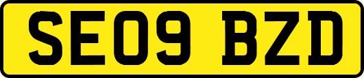 SE09BZD