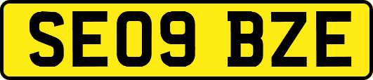 SE09BZE