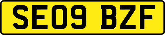 SE09BZF