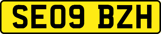 SE09BZH
