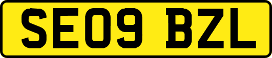 SE09BZL