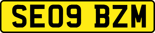 SE09BZM