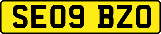 SE09BZO