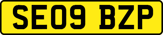 SE09BZP
