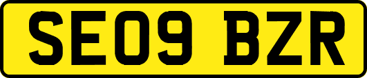 SE09BZR